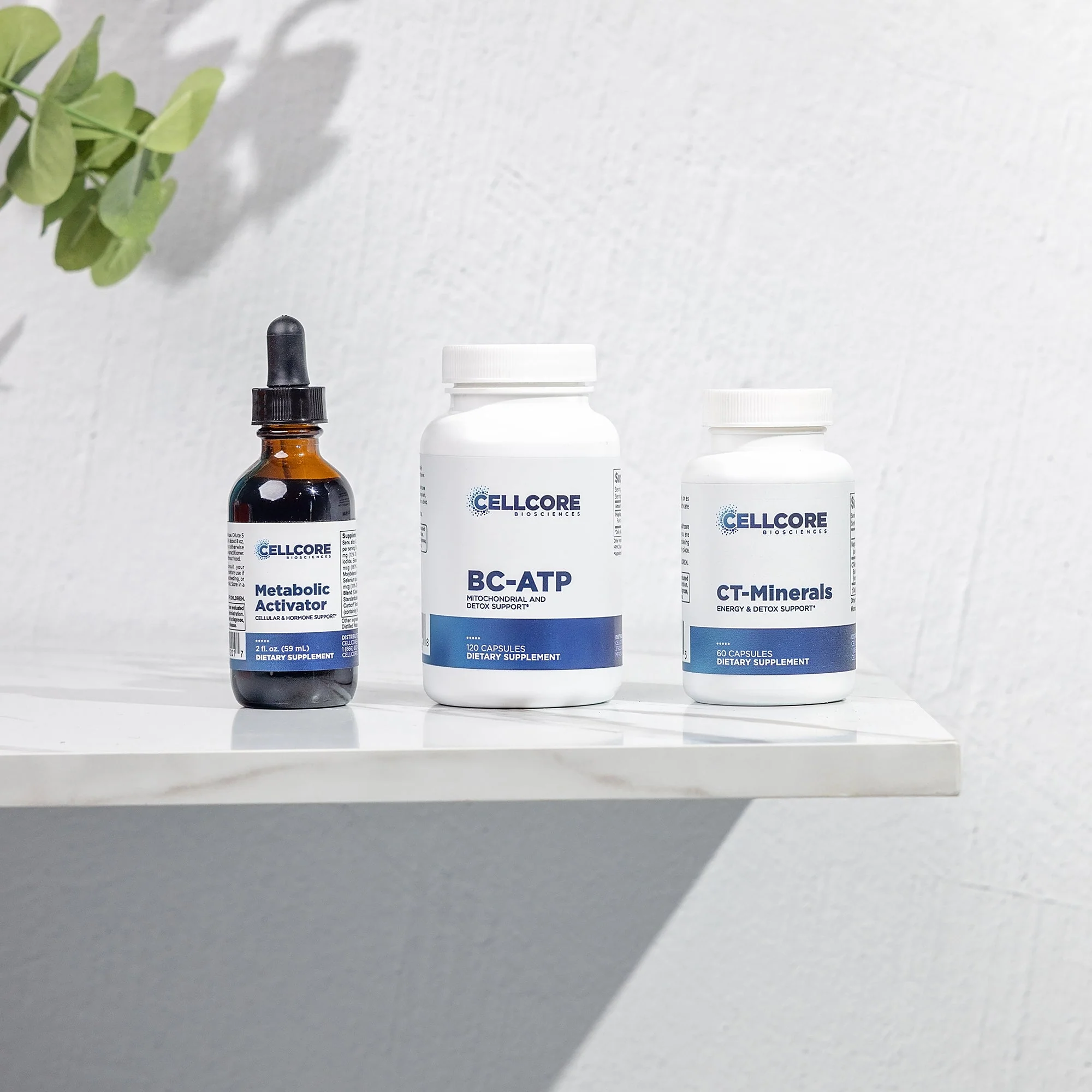 Energy Boost Support Bundle - Image 6