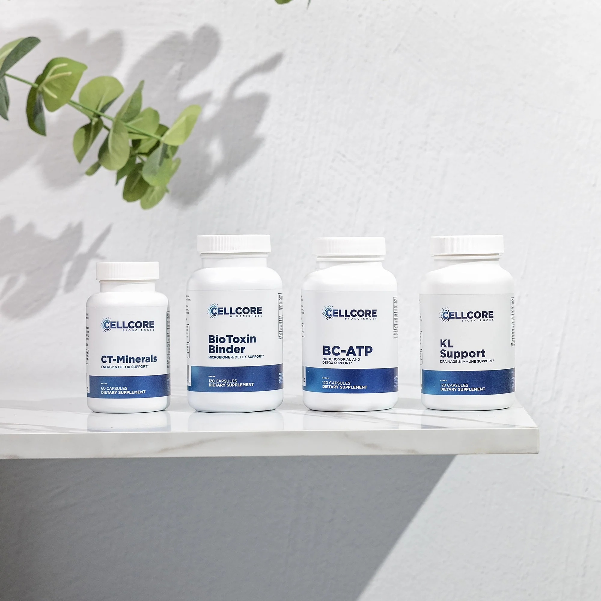 Jumpstart Kit - Image 7