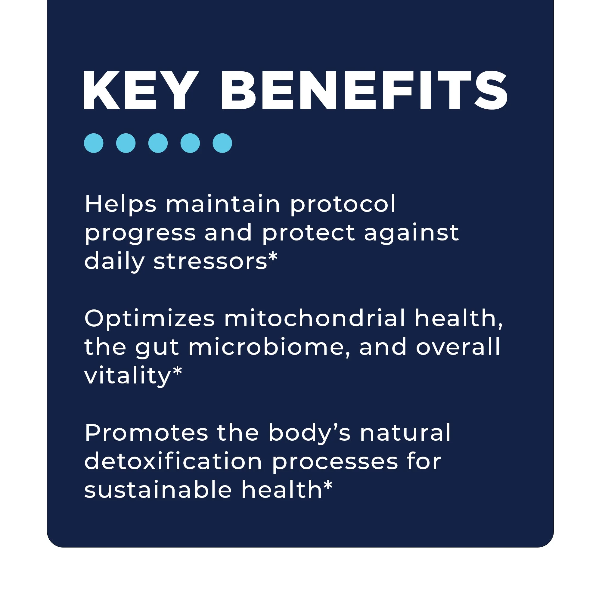 Optimize B Bundle - Image 7