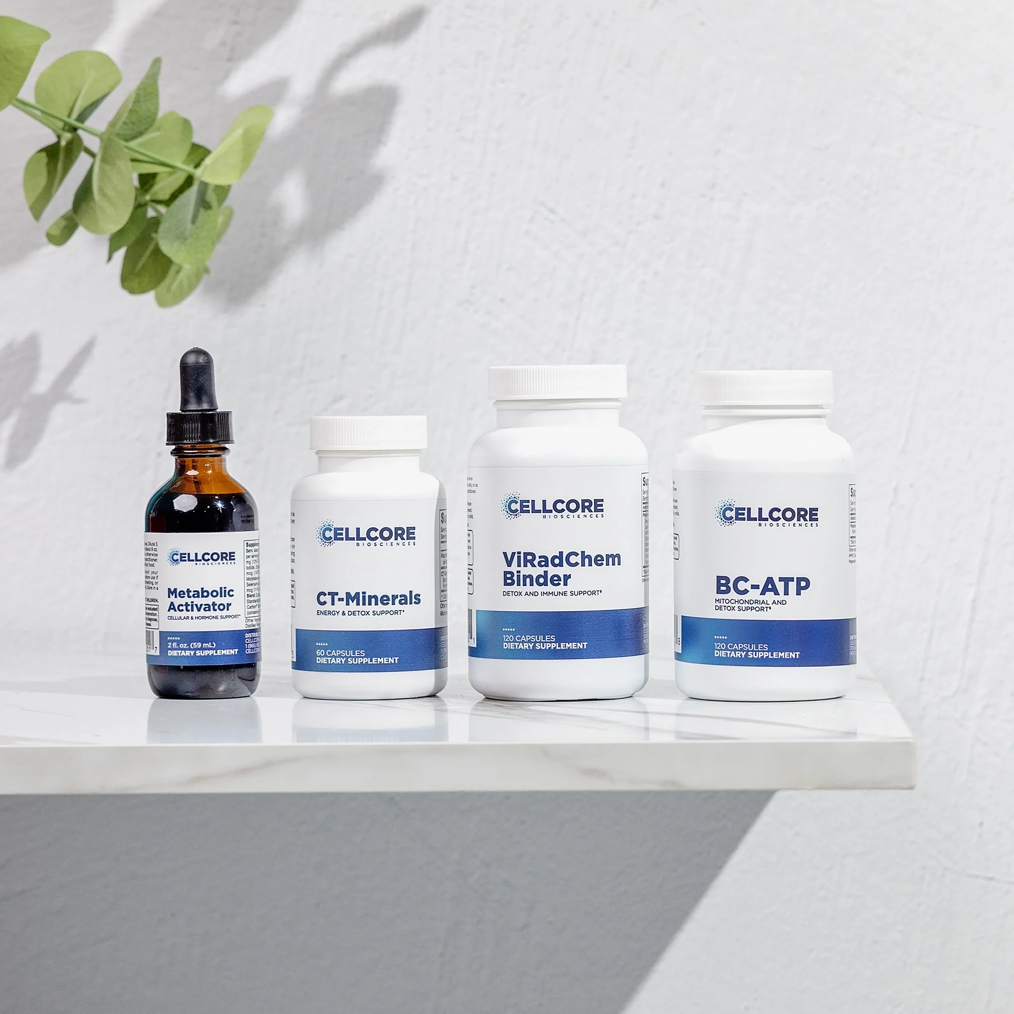 RAD Support Bundle - Image 7